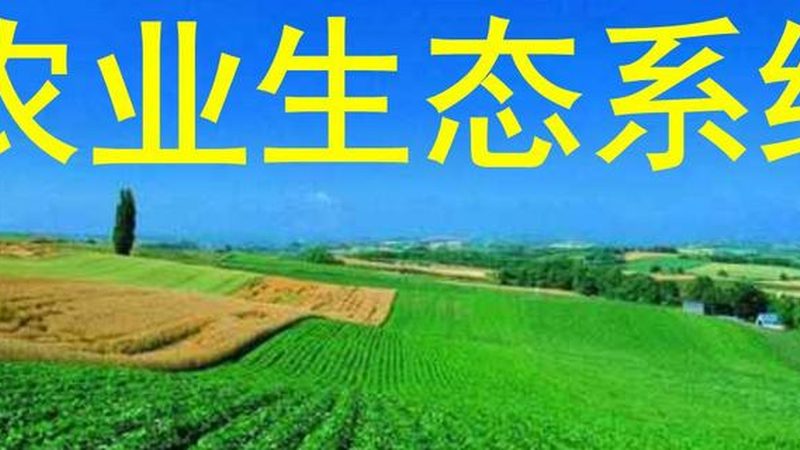 北京有机蔬菜和绿色蔬菜哪个值得买