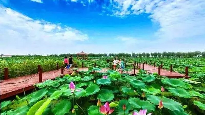 生鲜B2B平台崛起：揭秘行业前三强
