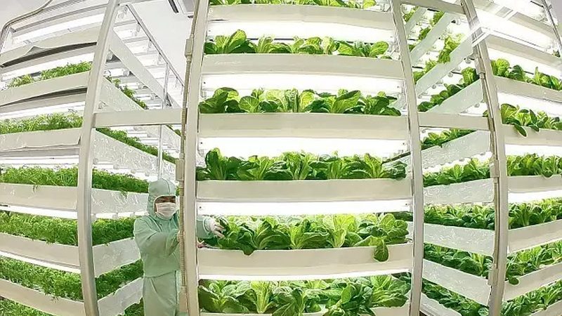 蔬菜批发选货，如何把握市场脉搏，实现盈利增长？**