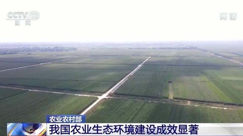 河南农资厂家肥料规格型号解析：如何科学选择**