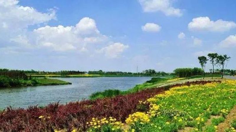 休闲农业景观设计的优与劣