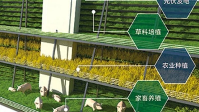 种植技术书籍：批发渠道与选书指南