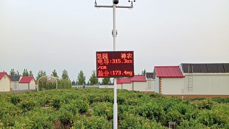 大棚种植成本解析：一亩多少钱的真相**