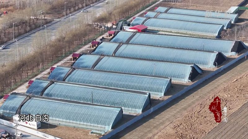 粮食种植加盟：如何构建高效设备清单与合理报价