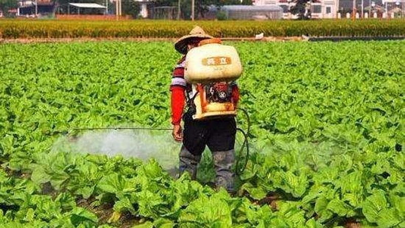 采摘园选址：政策要求与关键因素解析**
