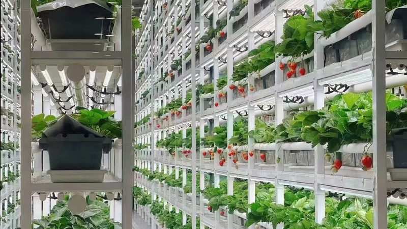 以下为不同类型合作社代理记账的大致价格范围，供参考：